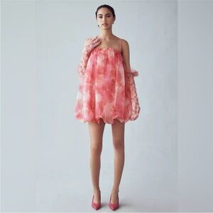 Anthropologie Sunday in Brooklyn pink/rose Bubble dress